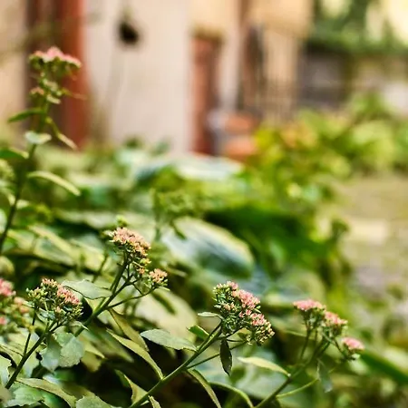 Light And Spacious On Gazova Str