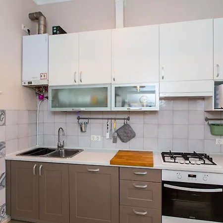 Light And Spacious On Gazova Str Lviv