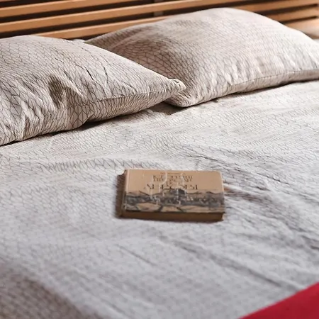 Light And Spacious On Gazova Str Apartment Lviv