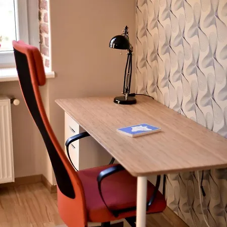 Light And Spacious On Gazova Str Apartment Lviv