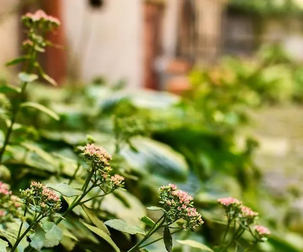 Light And Spacious On Gazova Str